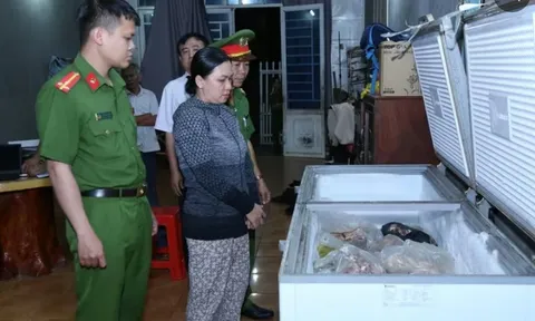 Mua heo chết nhiễm dịch tả châu Phi bán ra thị trường, Lê Thị Bích Phượng bị khởi tố