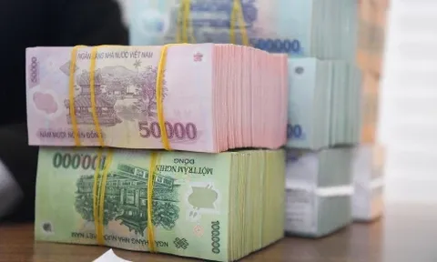 Công dân Việt Nam sẽ được nhận 600.000 đồng tiền mặt từ Ngân sách nhà nước là phần quà mừng việc gì?