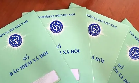 2 cách xin cấp lại sổ bảo hiểm xã hội online trên ứng dụng VssID, cụ thể ra sao?