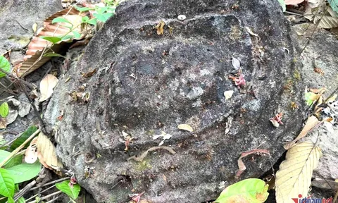 Thích thú ngắm những viên đã có họa tiết lượn sóng, xoắn ốc lạ kỳ ở Vườn quốc gia Yok Đôn (Đắk Lắk)