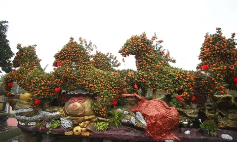 Thưởng Tết Nguyên đán Bính Ngọ tăng so với Tết Nguyên đán Ất Tỵ, những con số biết nói