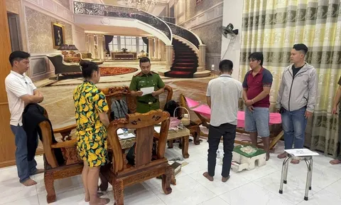 Clip: Cảnh hãi hùng bên trong sào huyệt của băng ma túy 36 người