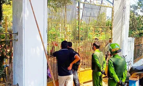 Hành vi đáng lên án của Trần Thị Tâm và Lê Hữu Thống