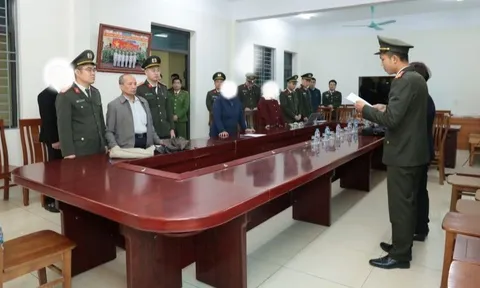 Khởi tố, bắt tạm giam Vũ Như Anh