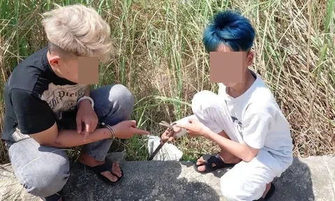 Nhóm "trộm nhí" hành động đáng xấu hổ bị bắt tại trận