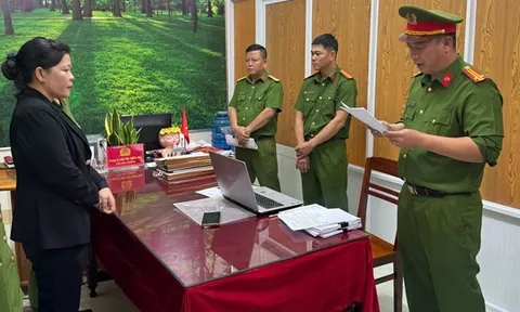 Bắt nguyên hiệu trưởng một trường mẫu giáo, sững sờ lý do