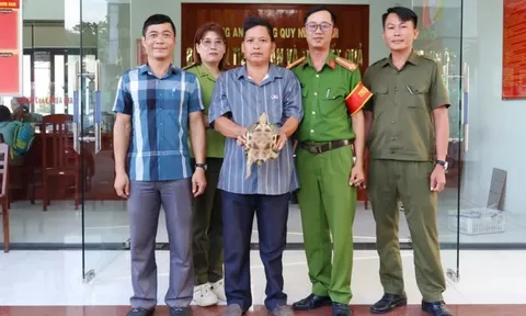 Rùa cổ sọc quý hiếm bò vào vườn nhà dân có gì đặc biệt?