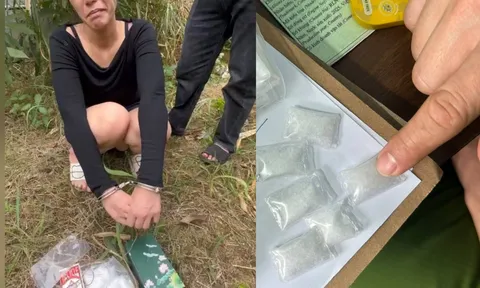 Bắt "bà trùm" Hà Thị Tuyết, sững sờ với hành vi động trời