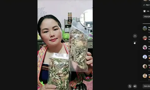 Khởi tố "lang băm" Phàng Thị Sua, lộ hành vi hãi hùng