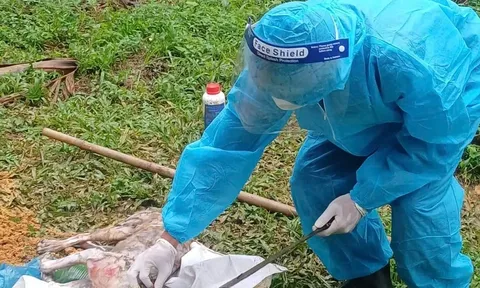 Đau lòng 3 người dân bị chó dại tuột xích cắn thương tích