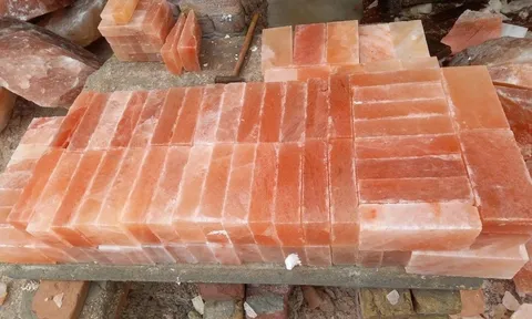 Cựu cán bộ trường Đại học Bách khoa Hà Nội lừa cháu họ hơn 13 tỷ đồng là ai?