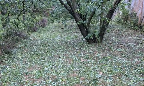 Cận cảnh hiện tượng mưa đá dữ dội ở Phú Thọ, nhiều phương tiện không thể di chuyển