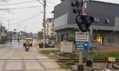 Từ 15/5, lái xe ô tô làm điều này sẽ bị phạt tới 20 triệu đồng, biết ngay để tránh