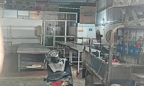 Những hình ảnh rùng mình bên trong "căn bếp" của Công ty Cường Phát cung cấp thịt lợn nhiễm bệnh vào trường học ở Hà Nội