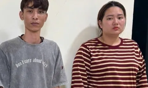 Vũ Thị Hương Giang vì sao lại bị khởi tố?