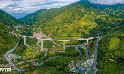 Người đàn ông nhảy cầu cạn cao nhất Việt Nam tự vẫn: Hé lộ về hình xăm đặc biệt