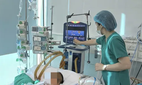 Chó nhà nuôi chết bất thường nhưng cha mẹ không để ý, vài ngày sau bé gái 11 tuổi phát bệnh dại tử vong