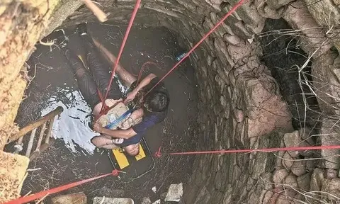 54 giờ mắc kẹt dưới giếng sâu lạnh buốt: Bà mẹ 48 tuổi sống sót thần kỳ giữa rắn độc và muỗi rừng