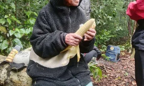 Tưởng đã không qua khỏi, cụ ông 78 tuổi bất ngờ được tìm thấy sau 5 ngày biệt tích giữa rừng hoang!