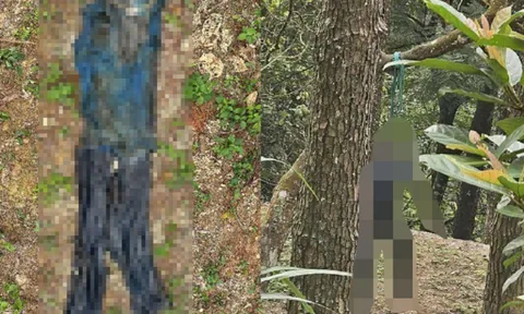 Phát hiện thi thể đang phân huỷ của nam giới chết trong tư thế treo cổ ở Tam Đảo, danh tính vẫn là ẩn số