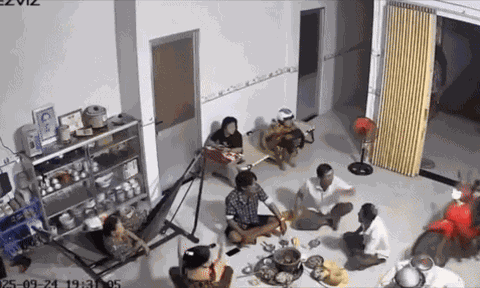 Cả gia đình đang dùng bữa thì đồng loạt hét toáng lên vì lý do này, xem clip mới hiểu rõ chuyện gì xảy ra