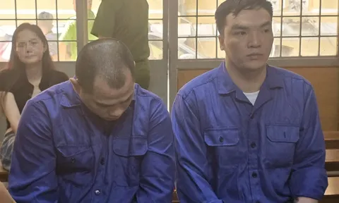 Bảo lãnh em gái vay tín dụng đen, chị gái chịu cảnh bị bắt cóc, tra tấn, làm nhục và đe dọa tạt axit