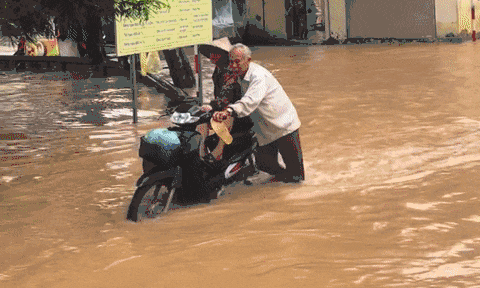 Giữa dòng nước ngập sâu, hình ảnh ông lão ở Hà Nội đẩy xe đưa vợ đi khám bệnh, khiến ai xem cũng nghẹn ngào xúc động