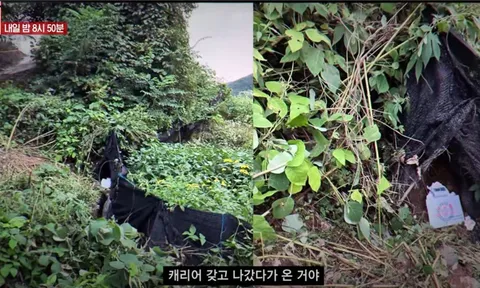 Nữ diễn viên 20 tuổi bị sát hại dã man, thi thể bỏ trên núi: Hé lộ danh tính nghi phạm