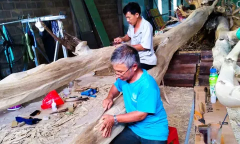 Không thể tin nổi: Cây gỗ siêu dị “thơm như nước hoa” ở Phú Quốc nặng 10 tấn, dài 17m tỏa hương từ gốc tới ngọn, đại gia trả giá 40 tỷ vẫn bị từ chối