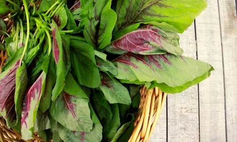 Không phải rau đắt tiền, đây mới là nhóm “ít bị phun thuốc trừ sâu” đáng mua ngoài chợ