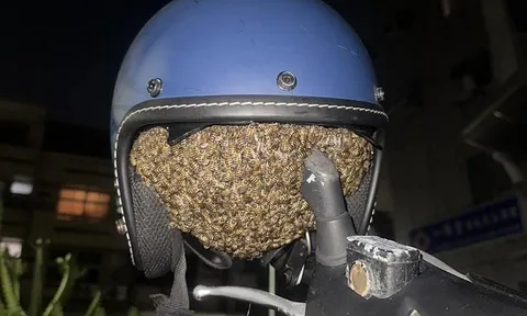 Một đêm “bỏ quên” mũ bảo hiểm, sáng hôm sau cô gái nhận cái kết không ai dám đội