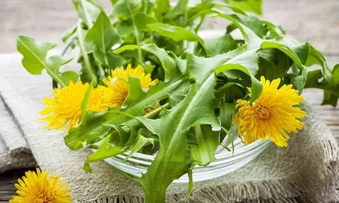 Từng mọc đầy ven bờ rào, nay được mệnh danh "vua thải độc": Giá không còn rẻ, vào bếp thành món lạ nhiều người mê