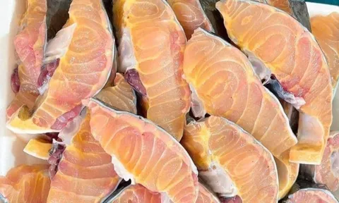 Từ “quý tộc nước lạnh” thành "mỏ vàng" tiền triệu/kg: Loại cá Việt khiến dân sành ăn không tiếc tiền xuống ví