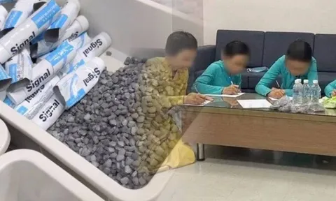 Vụ 4 tiếp viên hàng không vận chuyển ma túy: Khởi tố 543 bị can, tiền giao dịch trên 25.000 tỷ đồng 