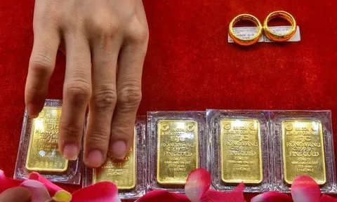 Ngân hàng Nhà nước hủy phiên đấu thầu vàng trước "giờ G"