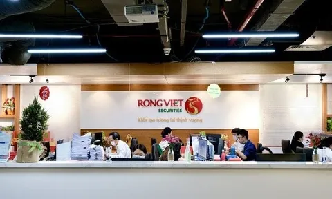 Lỗ kỷ lục, cổ phiếu Chứng khoán Rồng Việt bị đưa vào diện cảnh báo