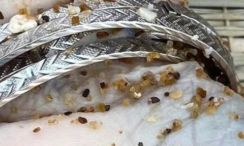 Phát hiện thi thể nữ giới không nguyên vẹn ở bờ biển: Công an mời 1 người nghi vấn liên quan lên làm việc