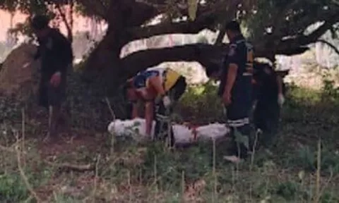 Vụ thi thể cô gái trẻ dưới gốc cây xoài: Người chồng tiết lộ thời gian nạn nhân rời khỏi nhà