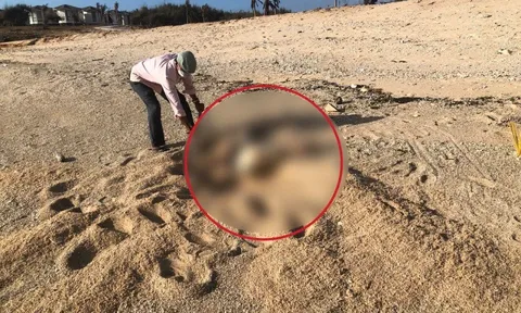 Phát hiện phần thi thể ở bờ biển Ninh Thuận, nghi liên quan vụ sát hại vợ ở Đà Nẵng: Hiện trường có gì "đặc biệt"?