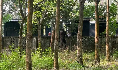 Vụ thi thể nam giới treo cổ, đang phân hủy ở rừng cao su: Hiện trường đau lòng