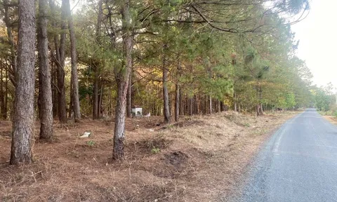 Vụ bé gái 14 tuổi bị khống chế, hiếp dâm ở rừng thông: Khu vực vắng người qua lại