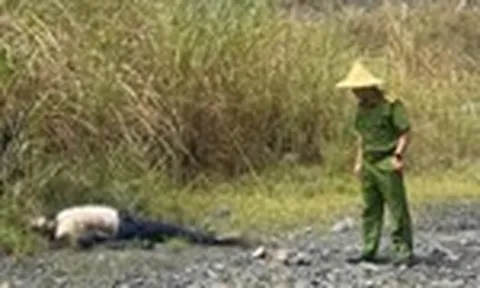 Vụ phát hiện thi thể người đàn ông đang phân hủy ở Lào Cai: Nạn nhân có dấu hiệu tâm thần, "mất liên lạc" gần 20 ngày