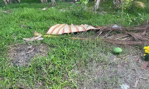 Phát hiện xác chết trong vườn nhà dân ở Tiền Giang, lộ nguyên nhân vụ án mạng nghiêm trọng