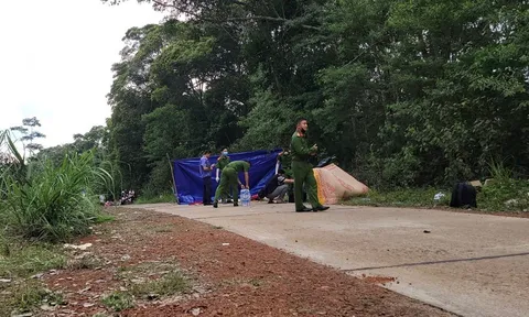 Vụ cô giáo bị chồng cũ sát hại ở Gia Lai: Nghi phạm gây án do ghen tuông