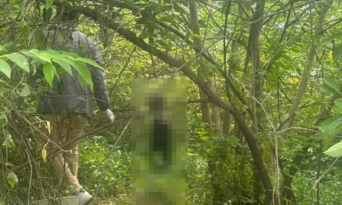 Phát hiện thi thể thanh niên 29 tuổi trong khu đất bỏ hoang ở Bình Định: Người thân tiết lộ chi tiết đau xót