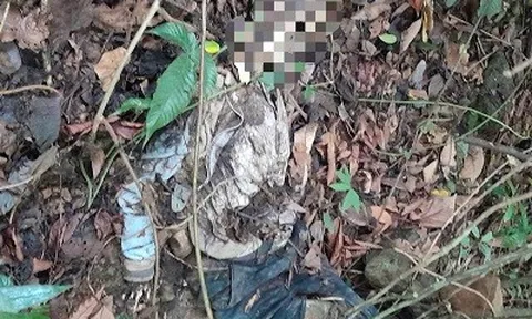 Rùng mình phát hiện thi thể chỉ còn lại bộ xương khô dưới vực sâu ở Lâm Đồng: Hiện trường có gì?
