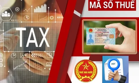 Sử dụng số định danh cá nhân thay cho mã số thuế từ 01/7/2025: Lưu ý với người nộp thuế
