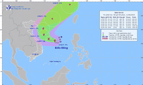 Bão số 1 hình thành, chính thức ghi nhận cơn bão đầu tiên năm 2025