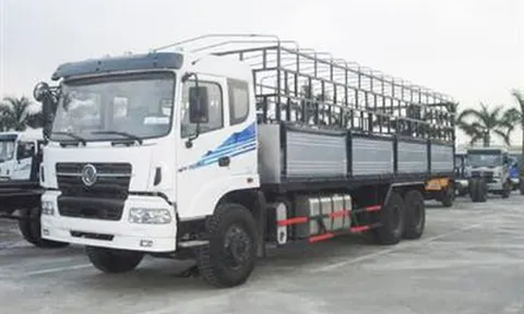 Trường hợp xe ô tô chở hàng được chở người