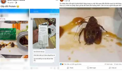 Xôn xao vụ gián trong món ăn tại nhà hàng Hoa Lư 2, Quy Nhơn